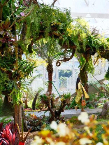 友好城市推荐｜福州三江口植物园，“兰”不住的向往……