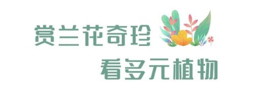 友好城市推荐｜福州三江口植物园，“兰”不住的向往……