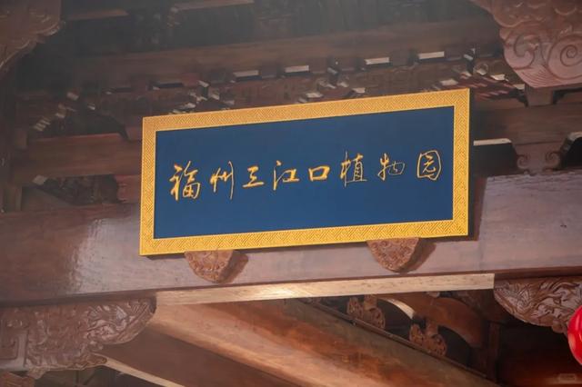 友好城市推荐|福州三江口植物园,“兰”不住的向往……