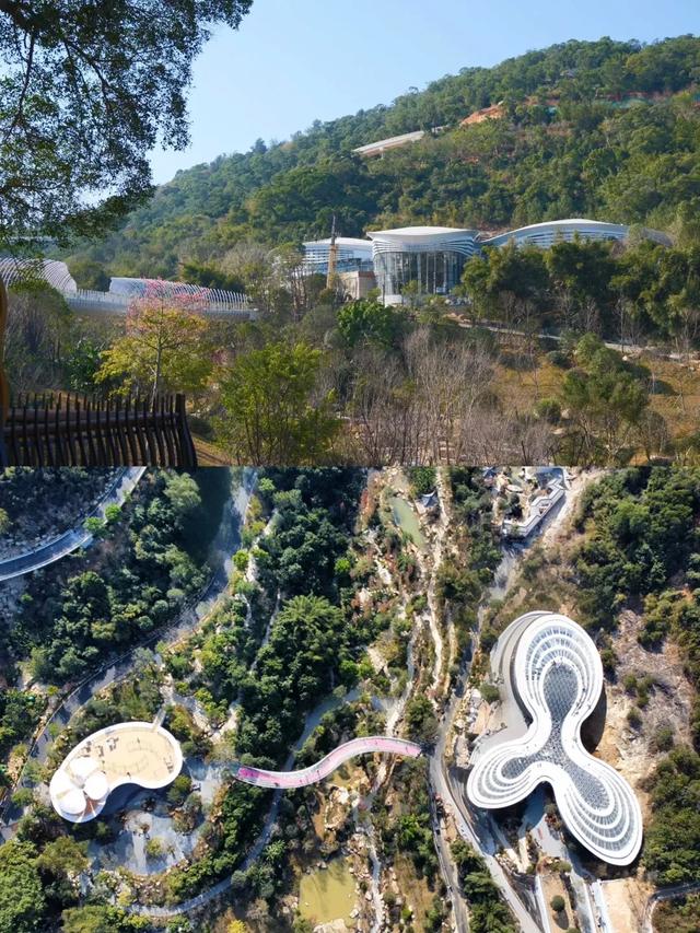 友好城市推荐|福州三江口植物园,“兰”不住的向往……