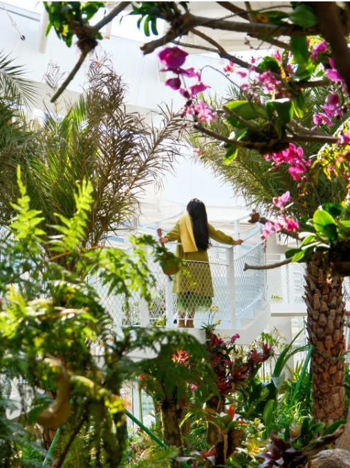友好城市推荐|福州三江口植物园,“兰”不住的向往……