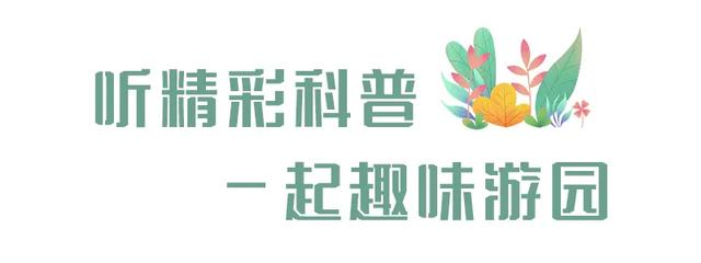 友好城市推荐|福州三江口植物园,“兰”不住的向往……