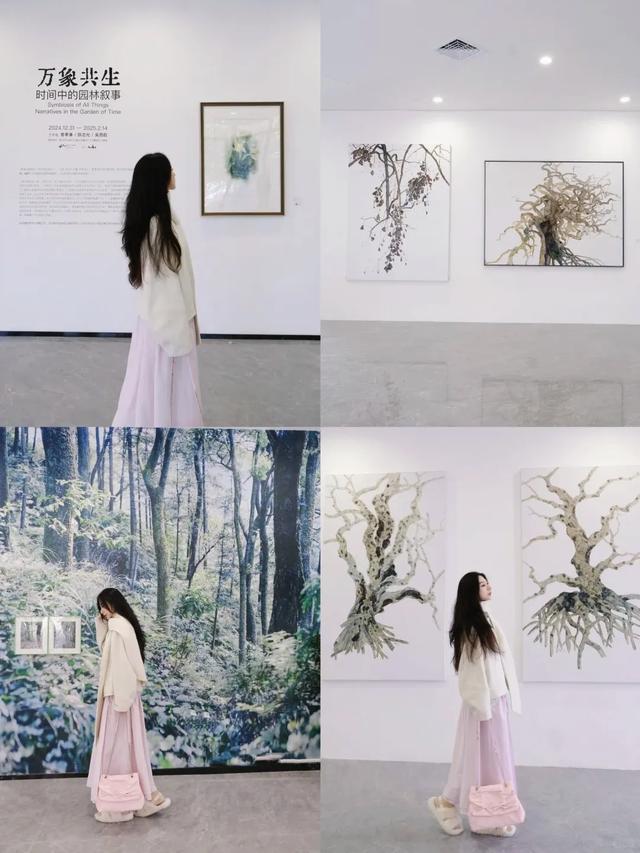 友好城市推荐|福州三江口植物园,“兰”不住的向往……