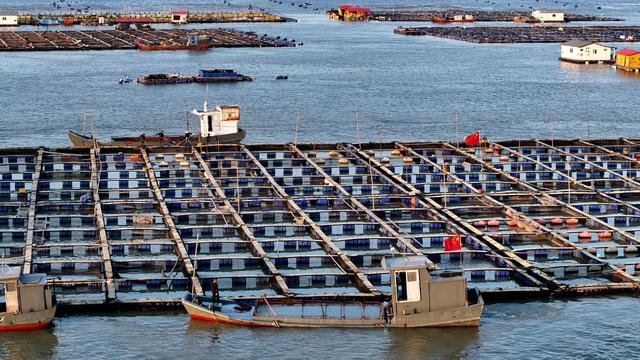 新年“海上粮仓” 奏响奋进 “渔” 歌