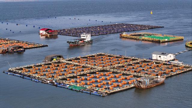 新年“海上粮仓” 奏响奋进 “渔” 歌
