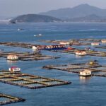 新年“海上粮仓” 奏响奋进 “渔” 歌