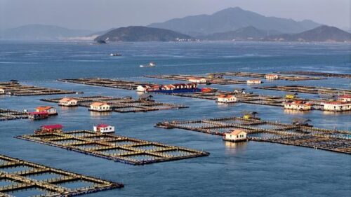 新年“海上粮仓” 奏响奋进 “渔” 歌