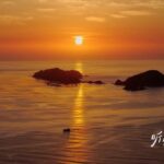 懂我蓝色的手语，大海认下我已到达！