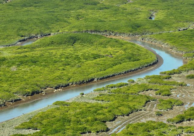 福州云霄:推进湿地生态保护与修复 打造美丽生态岸线景观
