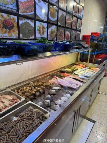 餐馆海鲜只标“时价”？市场监管专项检查！