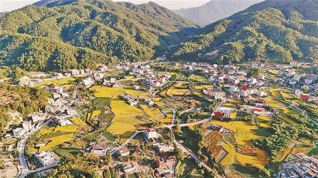 厦门一地连上三个!2024年度全省和美乡村“五个美丽”建设典型案例名单公布