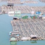 这个中国最美渔村，村民好奇怪，岸上有好房子不住，偏要住在海上