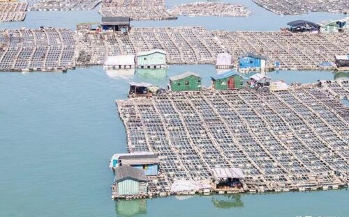 这个中国最美渔村，村民好奇怪，岸上有好房子不住，偏要住在海上