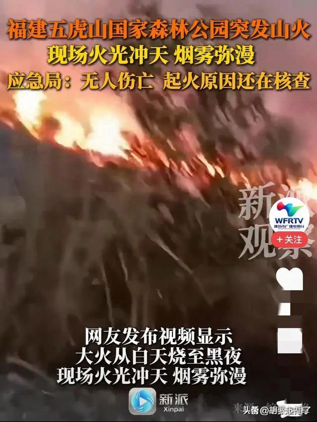 福建福州,闽侯县五虎山国家森林公园突发山火,疑似露营所致!