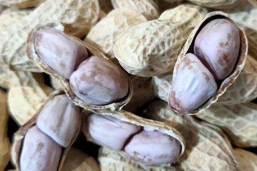 福建十大必买零食,舌尖上的闽味,地道风味来袭!