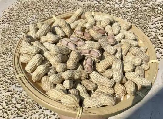 福建十大必买零食,舌尖上的闽味,地道风味来袭!