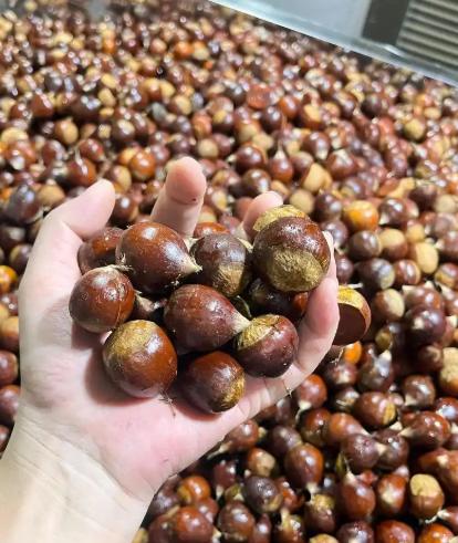 福建十大必买零食,舌尖上的闽味,地道风味来袭!