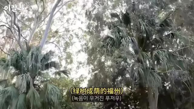 一夜之间，福州冒出不少韩国人！他们直呼→