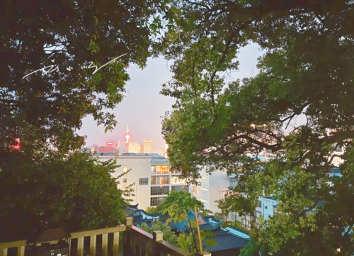 福建省GDP排名意外，福州超越泉州与厦门，成为“第一城”