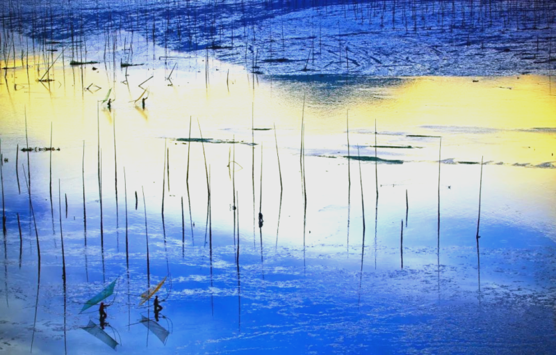 福建霞浦：探秘国内版“斯里兰卡”的绝美风光与丰富海鲜