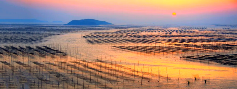 霞浦上榜秋季旅游热门目的地推荐榜单