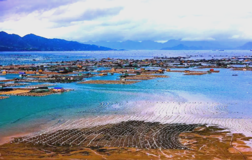 福建霞浦：探秘国内版“斯里兰卡”的绝美风光与丰富海鲜