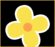 茉莉花开,探寻福州城的独特韵味与丰富故事