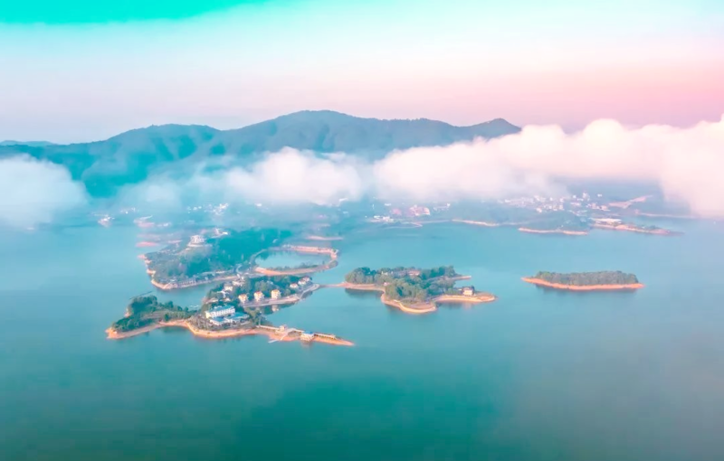 宁德美食之旅：探索多样“福建味道”