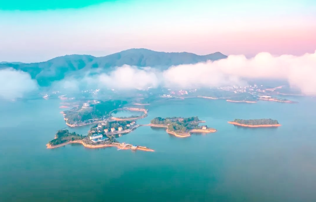 宁德美食之旅:探索多样“福建味道”