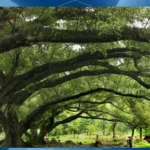 探访福建多地：霞浦、太姥山、惠安女、三坊七巷等风光与文化一览