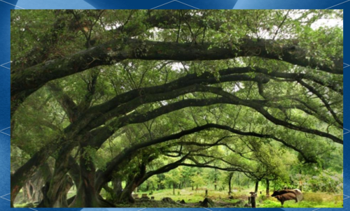 探访福建多地：霞浦、太姥山、惠安女、三坊七巷等风光与文化一览