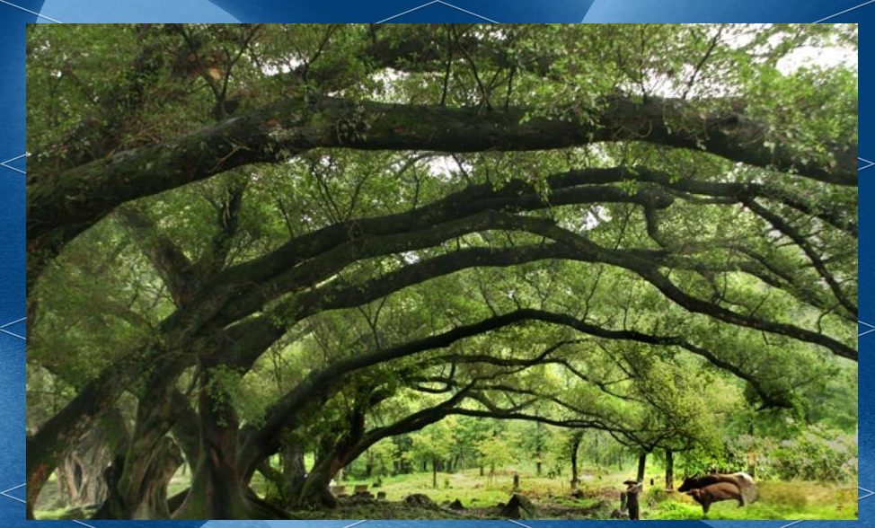 探访福建多地：霞浦、太姥山、惠安女、三坊七巷等风光与文化一览