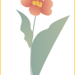 茉莉花开，探寻福州城的独特韵味与丰富故事