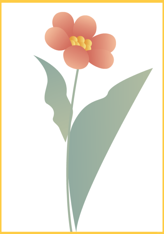 茉莉花开,探寻福州城的独特韵味与丰富故事