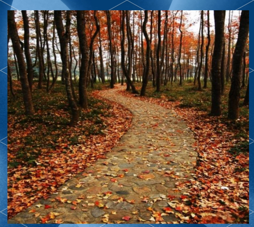 探访福建多地：霞浦、太姥山、惠安女、三坊七巷等风光与文化一览