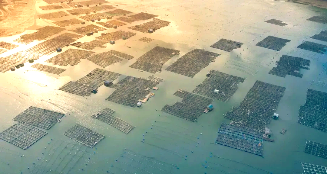 霞浦上榜秋季旅游热门目的地推荐榜单