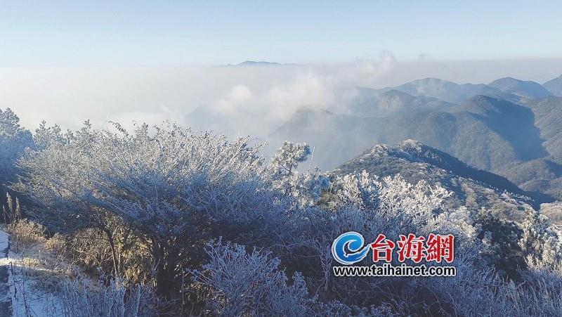 雪花飘飘 今年福建第一场雪来了