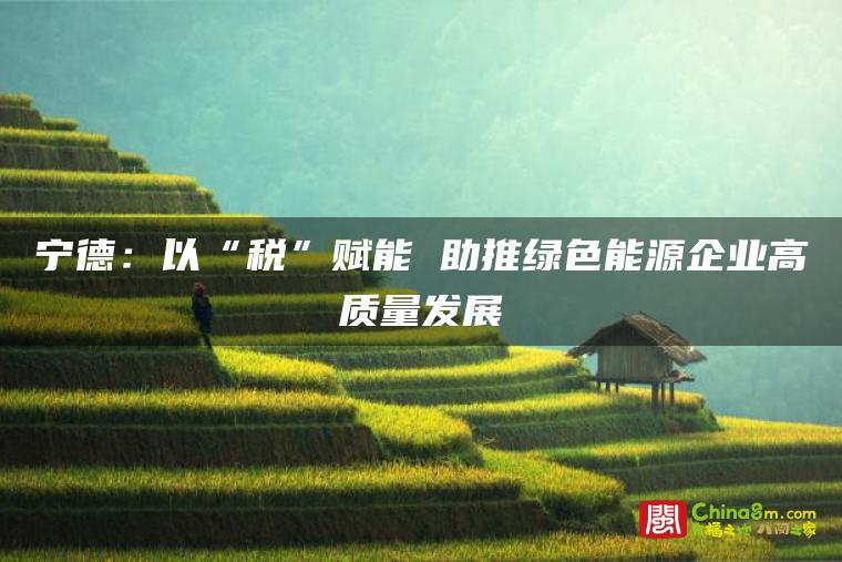 宁德:以“税”赋能 助推绿色能源企业高质量发展
