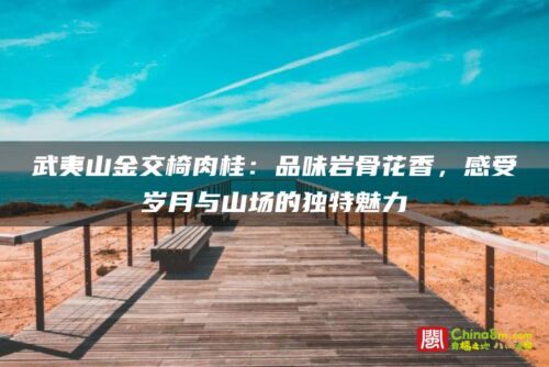 武夷山金交椅肉桂：品味岩骨花香，感受岁月与山场的独特魅力