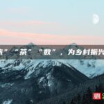 “旅”“茶”“数”，为乡村振兴赋能