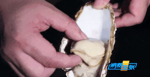 福建生蚝产业蓬勃发展，成为当地经济的“蚝”头力量