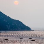 霞浦自由行春节游：探寻美食的绝佳之旅