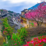 福州清明踏青文化路线推荐：探秘闽都古韵与山海春色