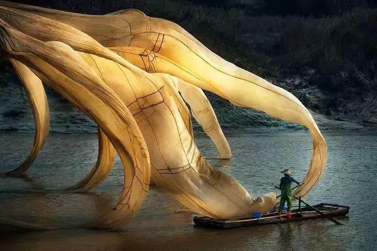 2025年独家一期/霞浦非遗妈祖文化节、海带季、滩涂风光摄影团