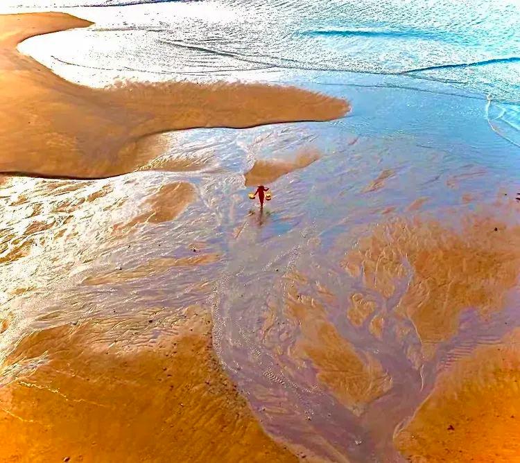 2025年独家一期/霞浦非遗妈祖文化节、海带季、滩涂风光摄影团