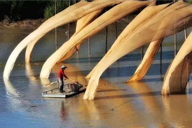 2025年独家一期/霞浦非遗妈祖文化节、海带季、滩涂风光摄影团