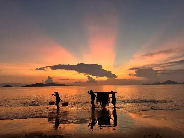 2025年独家一期/霞浦非遗妈祖文化节、海带季、滩涂风光摄影团