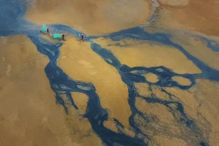 2025年独家一期/霞浦非遗妈祖文化节、海带季、滩涂风光摄影团