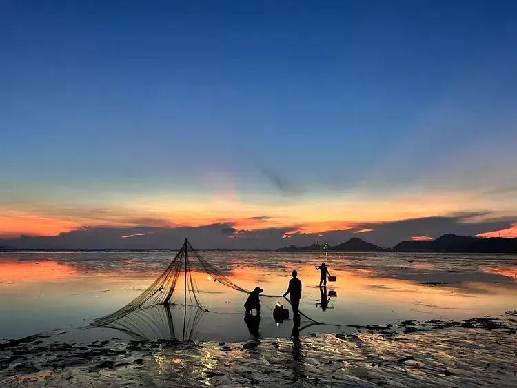 2025年独家一期/霞浦非遗妈祖文化节、海带季、滩涂风光摄影团