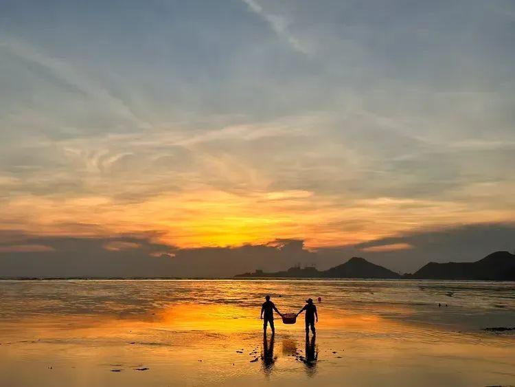 2025年独家一期/霞浦非遗妈祖文化节、海带季、滩涂风光摄影团